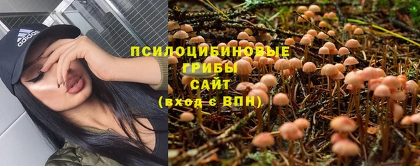 дживик Арсеньев
