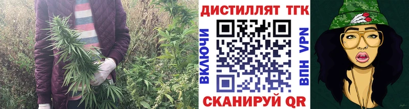 Купить  Суздаль  ТГК THC oil 