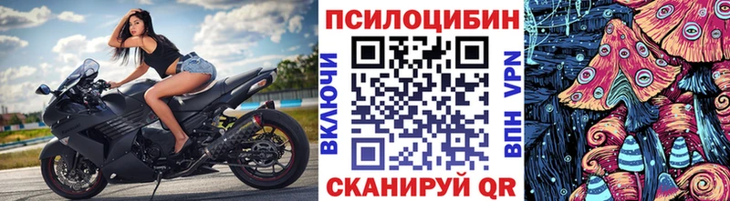Купить  Суздаль  Галлюциногенные грибы мицелий 